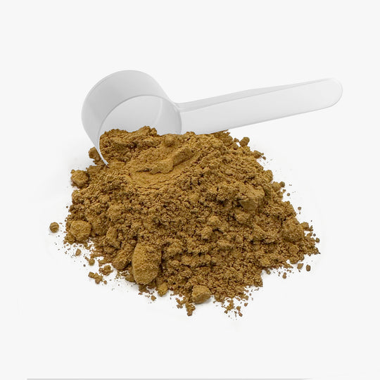 Morning Alchemy Instant Coffee (Medium Roast)