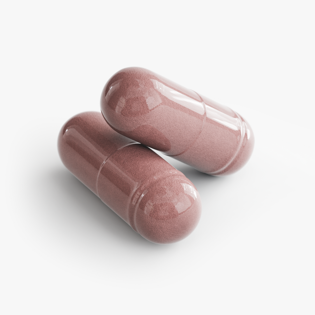 Elder Ward - Elderberry &amp; Zinc Immune Complex
